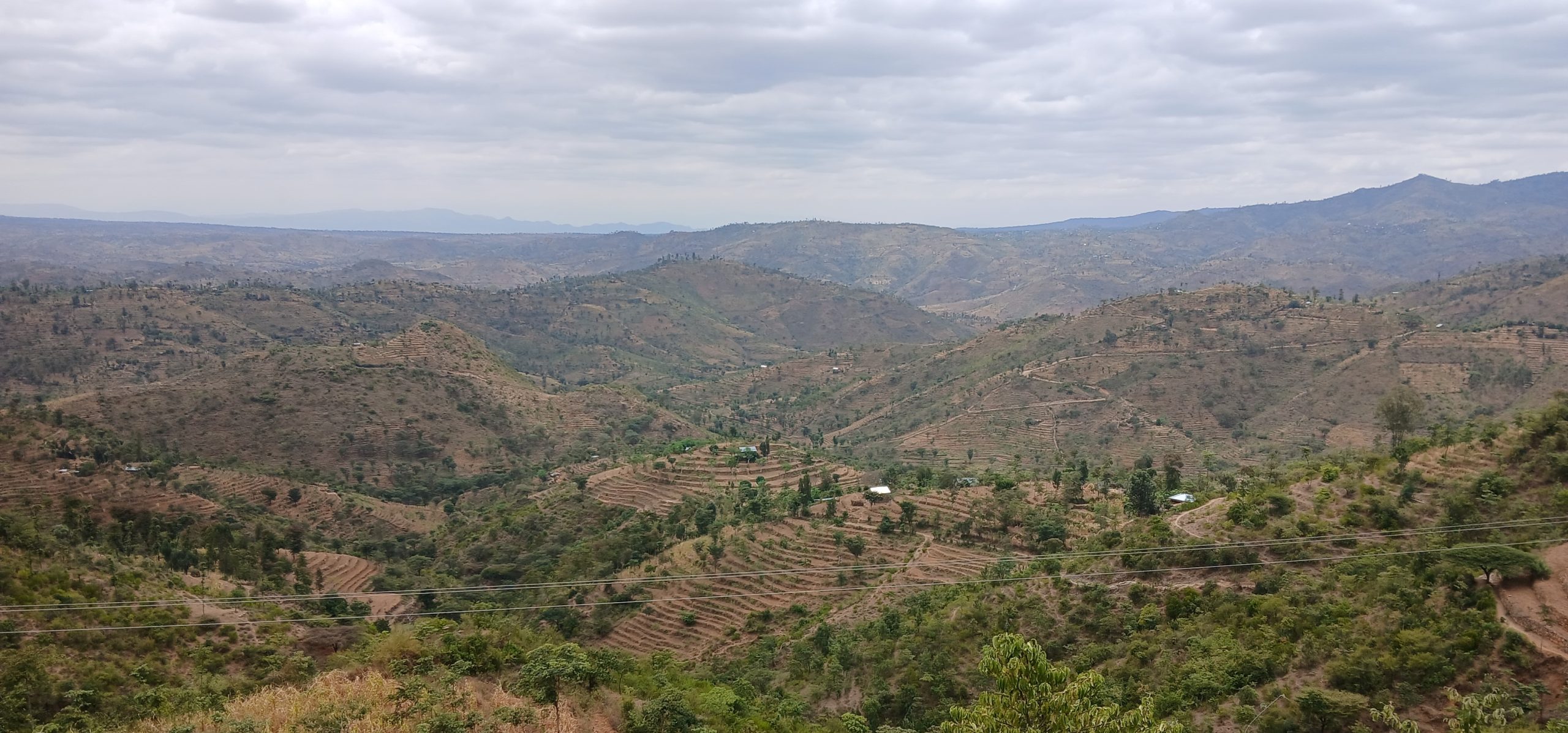እንኳን ደህና መጡ!